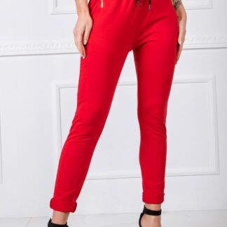 trainingsbroek model 166218 BFG
