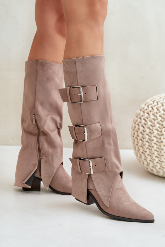 Laarzen met hoge hakken model 203505 Step in style