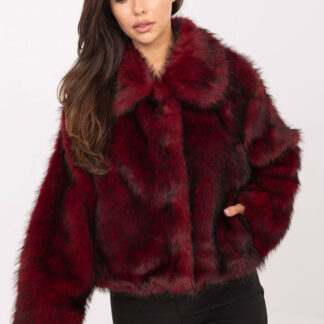 jasje model 217993 Rue Paris