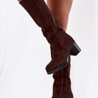 Laarzen met hoge hakken model 220223 Step in style